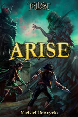 Cover of the book Arise by Chris Lester