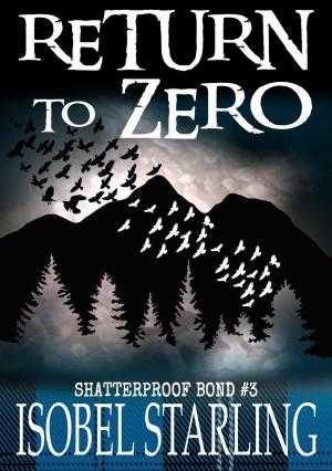 Cover of the book Return to Zero by Lichen Craig