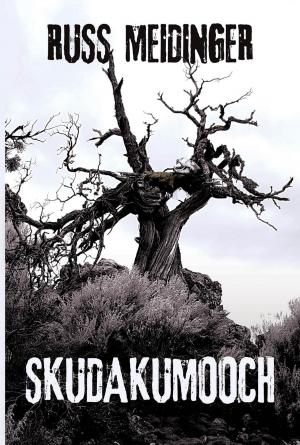 bigCover of the book Skudakumooch by 