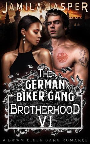 Book cover of The German Biker Gang Brotherhood