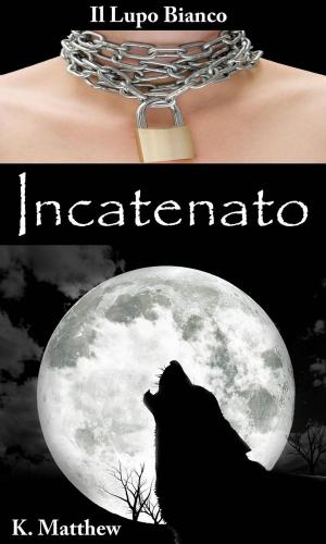 Cover of the book Incatenato by Sky Corgan