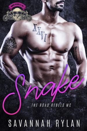Cover of the book Snake by J. Evan Johnson