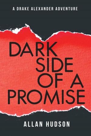 Book cover of Dark Side of a Promise