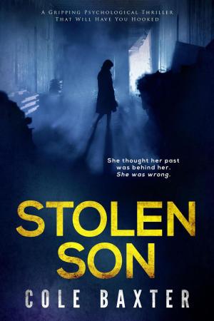 bigCover of the book Stolen Son: A gripping psychological thriller that will have you hooked by 