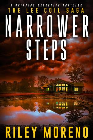 Cover of the book Narrower Steps by Craig Spence