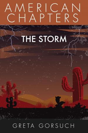 Cover of the book The Storm by Adam L. Penenberg