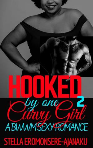 Cover of Hooked by one Curvy Girl ~ A BWWM Sexy Romance