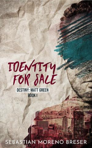 Cover of the book Identity For Sale Destiny: Matt Green by A. J. Mahler