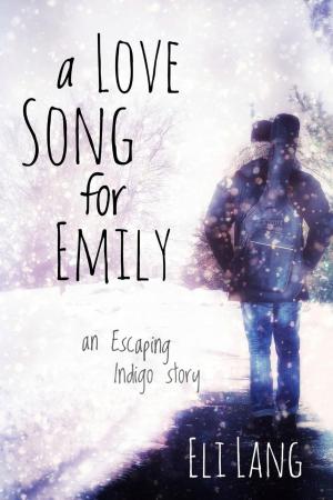 Cover of the book A Love Song for Emily by Kari Lynn Dell