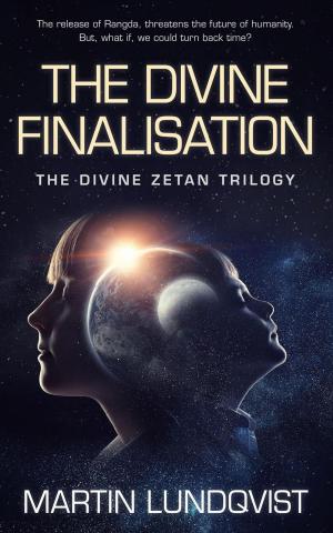 Cover of the book The Divine Finalisation by David Lee Summers