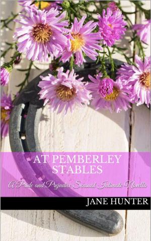Cover of the book At Pemberley Stables: A Pride and Prejudice Sensual Intimate by Avis McGinnis