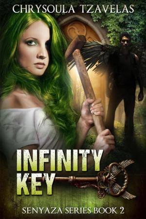 Book cover of Infinity Key