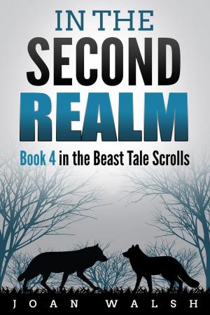 Book cover of In the Second Realm