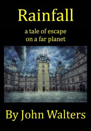 Cover of the book Rainfall by Darren Pearce