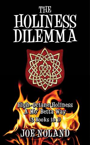 Cover of The Holiness Dilemma