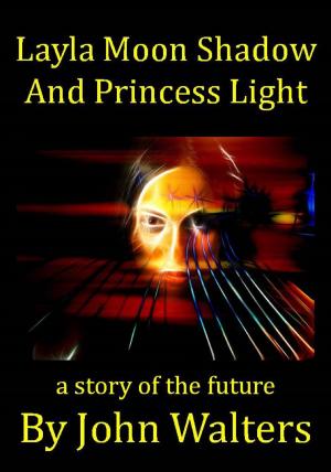 Book cover of Layla Moon Shadow and Princess Light
