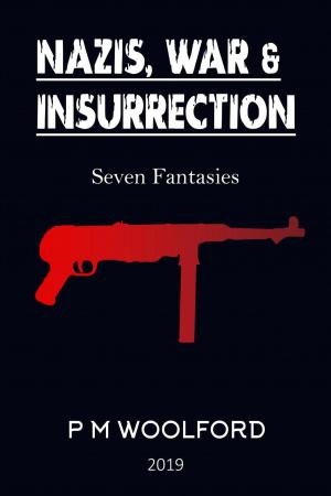 bigCover of the book Nazis, War &amp; Insurrection by 