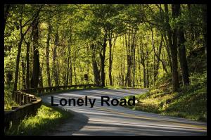 Cover of the book Lonely Road by Jocelyn Han