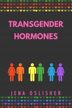 Cover of the book Transgender Hormones by Yamada Takumi