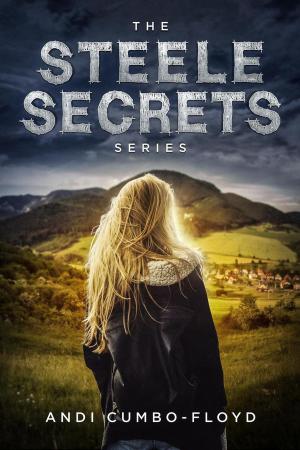 Book cover of The Steele Secret Series Box Set