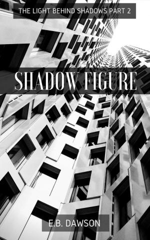 Book cover of Shadow Figure