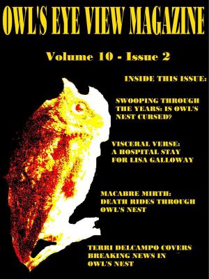Cover of the book Owl's Eye View Magazine - Volume 10 - Issue 2 by Terri DelCampo, Margie Taggart, Lisa Galloway, Melanie Mirth