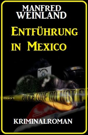 Cover of the book Entführung in Mexico: Kriminalroman by Rudolf Stirn