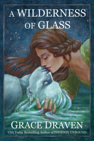 Cover of the book A Wilderness of Glass by Grace Draven