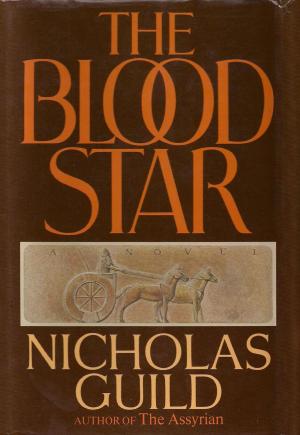 Book cover of The Blood Star