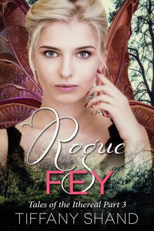 Book cover of Rogue Fey