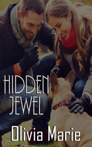 Cover of the book Hidden Jewel by BeBe Harlow, Tressa Rabbit