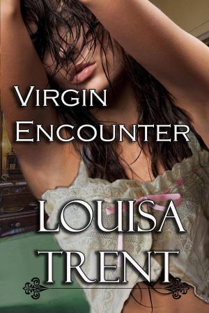 Cover of the book Virgin Encounter by Louisa Trent