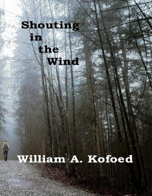 Cover of the book Shouting In the Wind by Joseph Correa