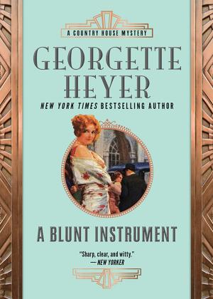 Book cover of A Blunt Instrument