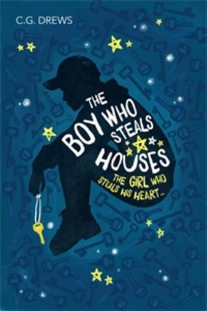 Cover of the book The Boy Who Steals Houses by Allan Frewin Jones