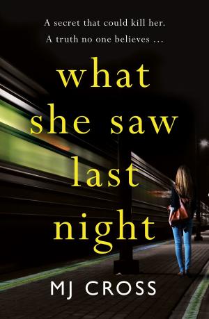 Cover of the book What She Saw Last Night by Lisa Riley