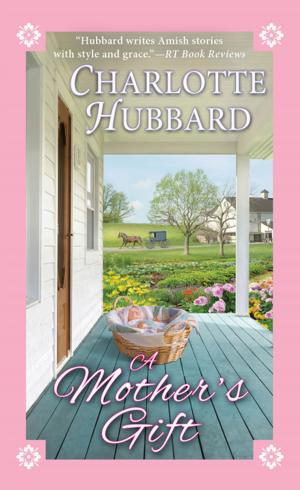 Cover of the book A Mother's Gift by Charlotte Hubbard