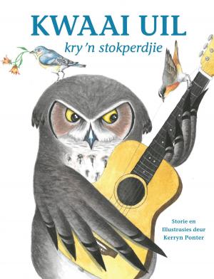 Book cover of Kwaai Uil kry ’n Stokperdjie