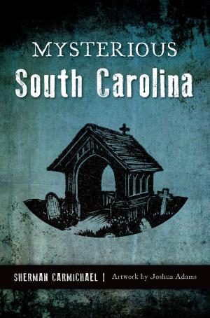Cover of the book Mysterious South Carolina by Jurakhon Mamatov Джурахон Маматов