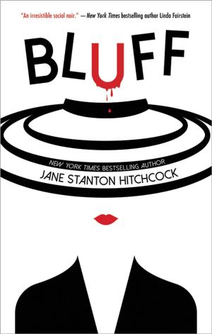 Cover of the book Bluff by Sheryl Berk, Carrie Berk