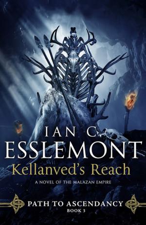 Cover of the book Kellanved's Reach by Morgan Llywelyn