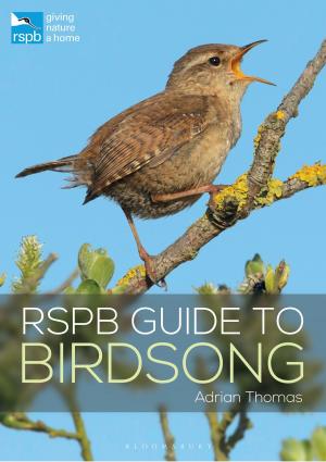 Cover of the book RSPB Guide to Birdsong by Joanna Briscoe