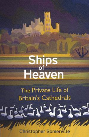 Cover of the book Ships Of Heaven by Susan Sallis