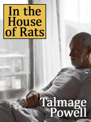 Cover of the book In the House of Rats by Donald Barr Chidsey