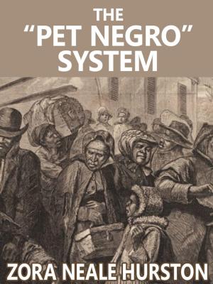 Book cover of The "Pet Negro" system