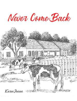 Book cover of Never Come Back