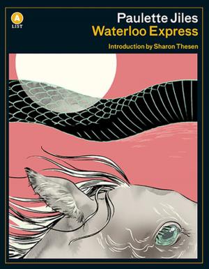 Cover of the book Waterloo Express by Gaetan Soucy