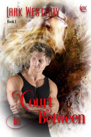 Cover of the book Court in Between by Patti Shenberger