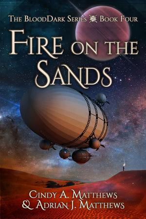 Cover of the book Fire on the Sands by Charlie Richards