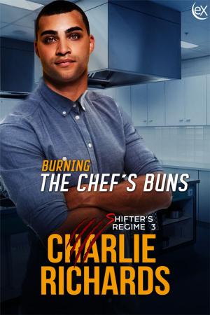 Cover of the book Burning the Chef's Buns by Patti Shenberger